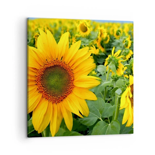 Impression sur toile - Image sur toile - Des centaines de soleils se sont embrasés - 50x50 cm