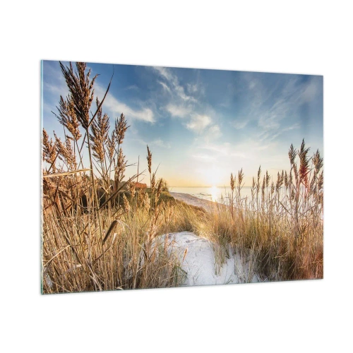 Impression sur verre - Image sur verre - Coucher de soleil sur une plage avec des dunes couvertes d'herbe - 100x70cm - Plage du nord - Décoration murale moderne pour le salon et la chambre ARTTOR