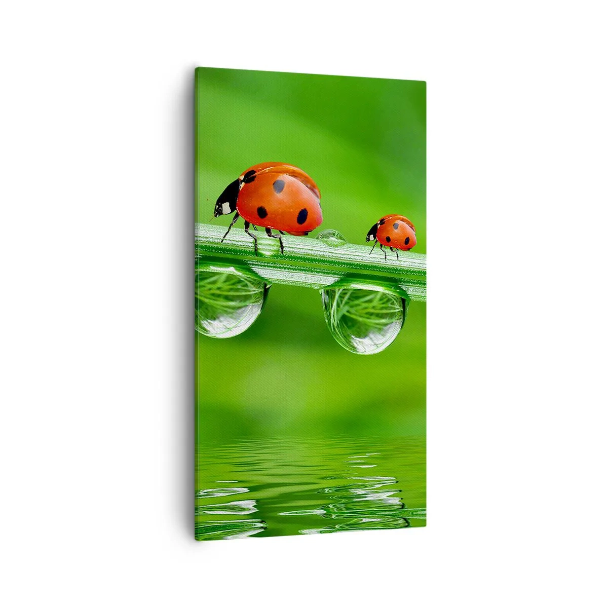 Impression sur toile - Image sur toile - Sur la route tout l'été - 55x100 cm