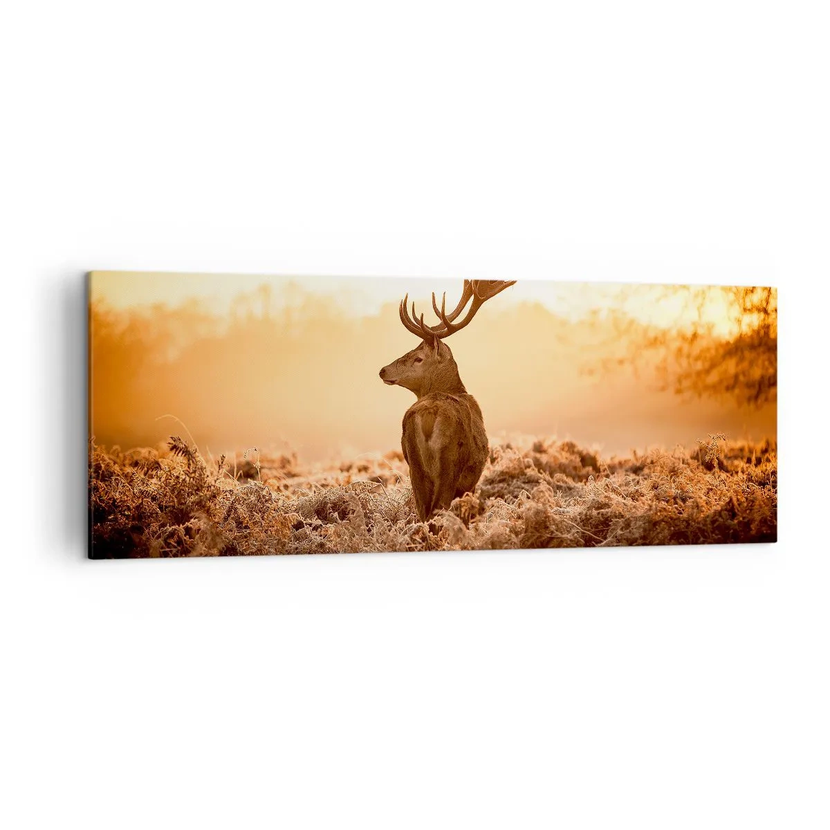 Impression sur toile - Image sur toile - Cerf dans les rayons du soleil levant - 140x50cm - Seigneur du domaine - Décoration murale moderne pour le salon et la chambre ARTTOR