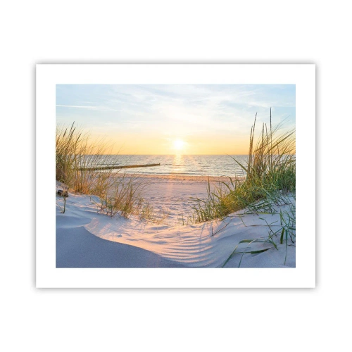 Affiche - Poster - Le bruit de la mer, le chant des oiseaux, une plage sauvage parmi les herbes… - 50x40 cm