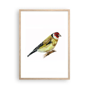 Affiche dans un chêne clair - Poster - Portrait d'oiseau - 50x70 cm