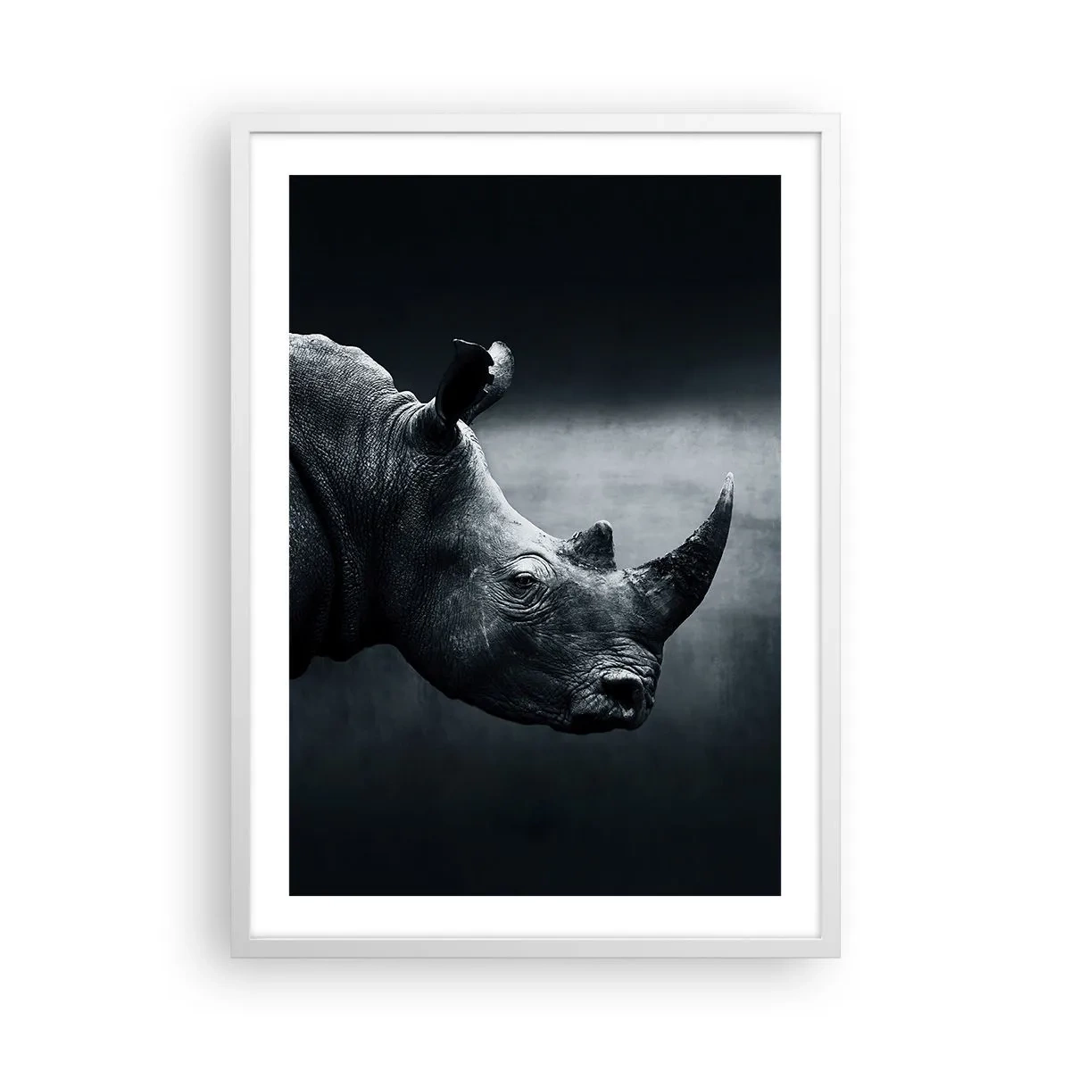 Affiche dans un cadre blanc - Poster - Le profil droit - 50x70 cm