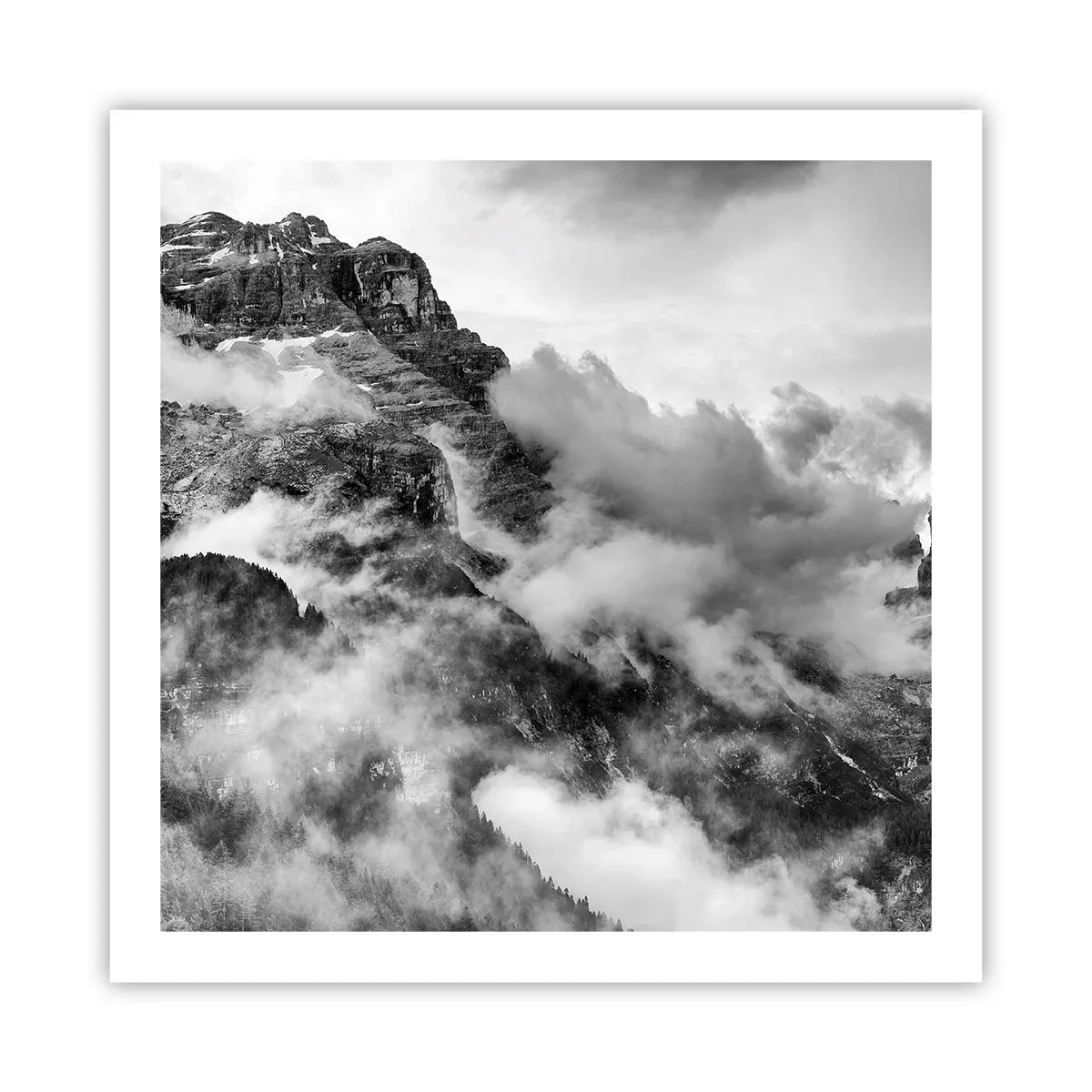 Affiche - Poster - Belle et cruelle - 60x60 cm