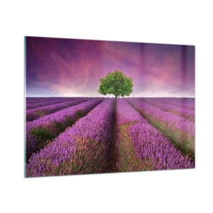 Impression sur verre - Image sur verre - Un champ de lavande avec un arbre solitaire contre le ciel - 100x70cm - Dans un champs de lavande - Décoration murale moderne pour le salon et la chambre ARTTOR