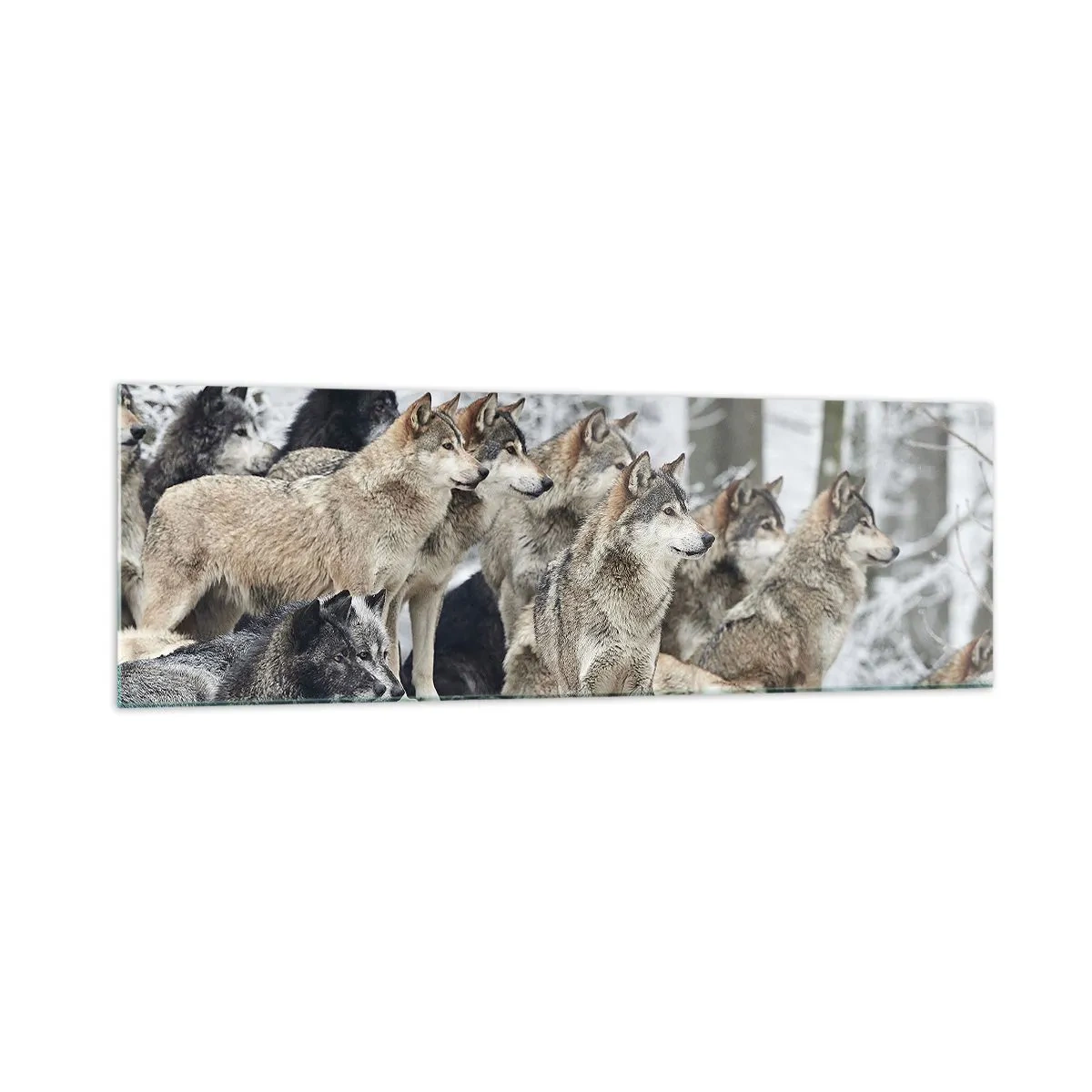 Impression sur verre - Image sur verre - Une meute de loups dans la forêt d'hiver - 160x50cm - Famille et amis - Décoration murale moderne pour le salon et la chambre ARTTOR