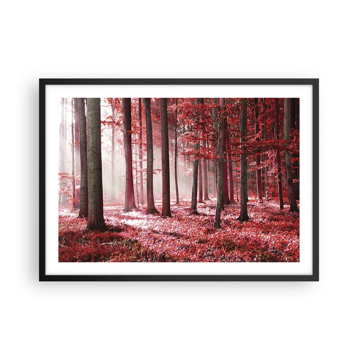 Affiche dans un cadre noir - Poster - Une forêt époustouflante aux teintes rouges avec des rayons de lumière pénétrant à travers les arbres - 70x50cm - Le rouge est tout aussi beau - Décoration murale moderne pour le salon et la chambre ARTTOR