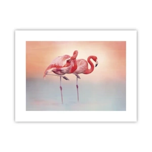 Affiche - Poster - Dans les couleurs du soleil couchant - 40x30 cm