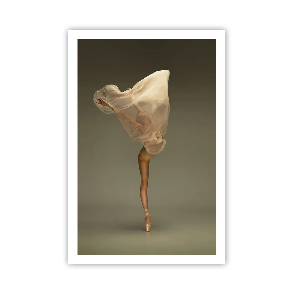 Affiche - Poster - Il va bientôt s'envoler - 61x91 cm