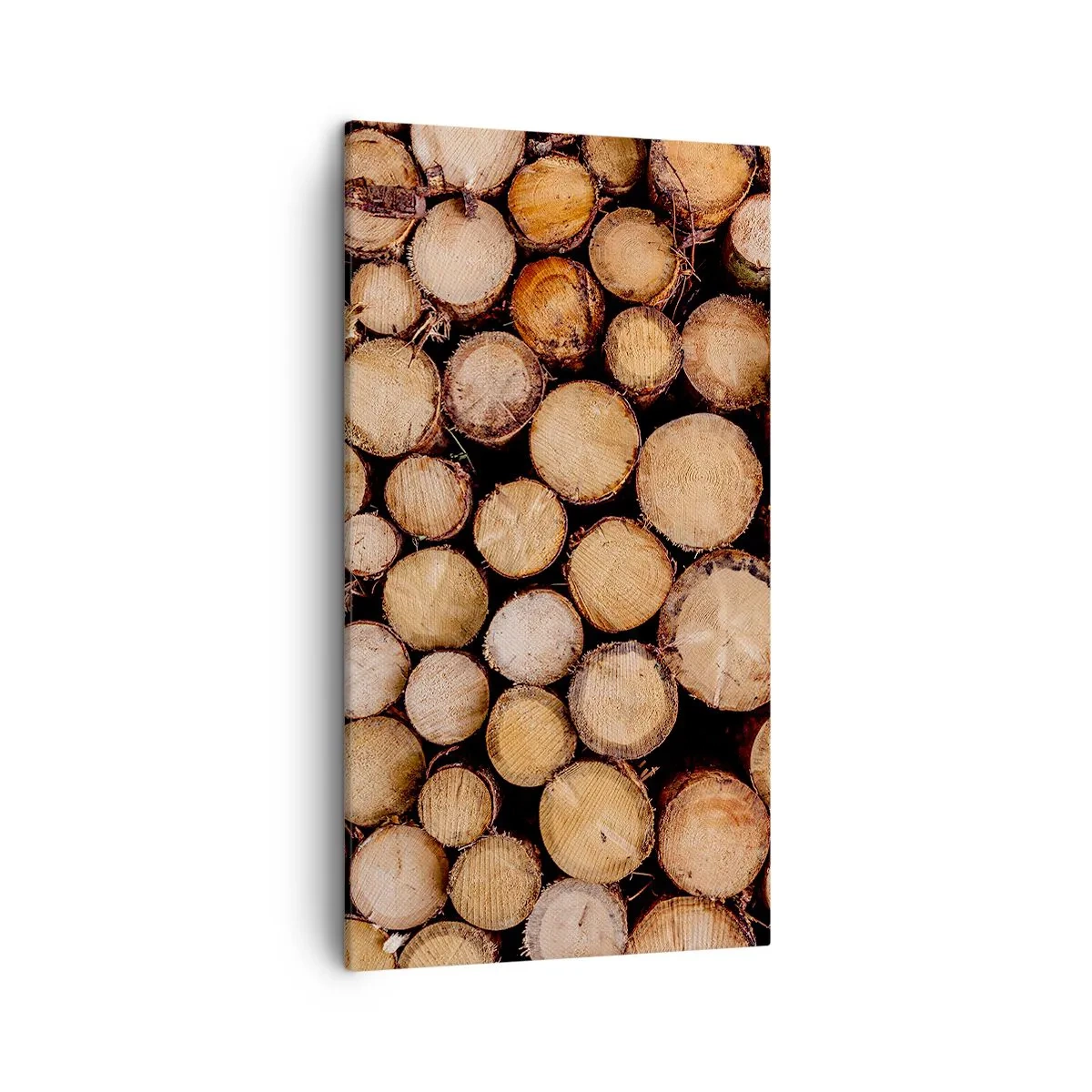 Impression sur toile - Image sur toile - Nouveau commencement - 45x80 cm