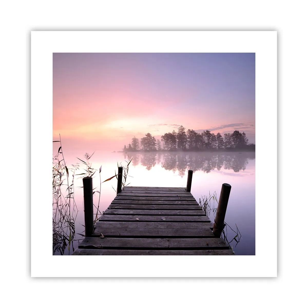 Affiche - Poster - De la brume lilas… - 40x40 cm