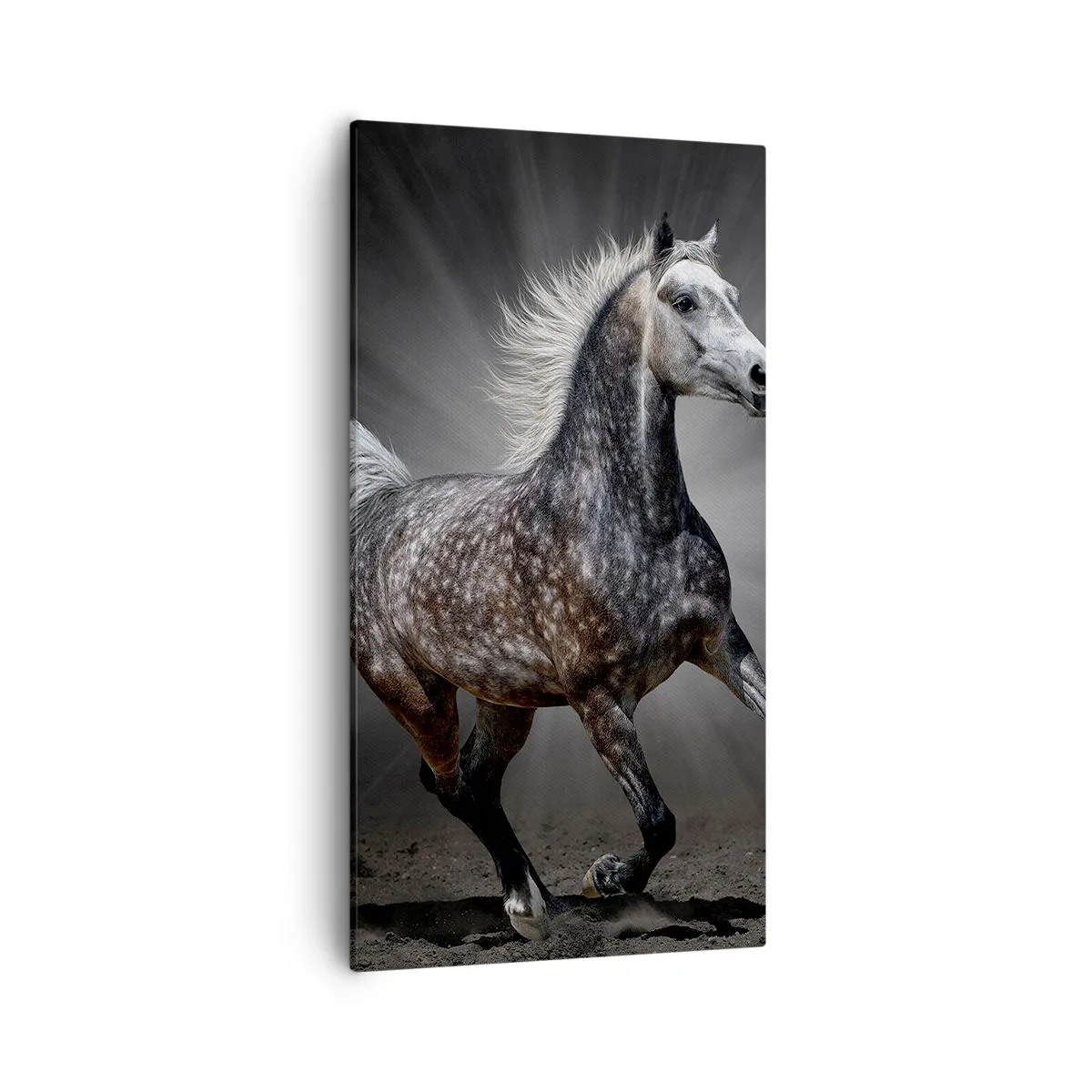 Impression sur toile - Image sur toile - Le gris est beau - 55x100 cm