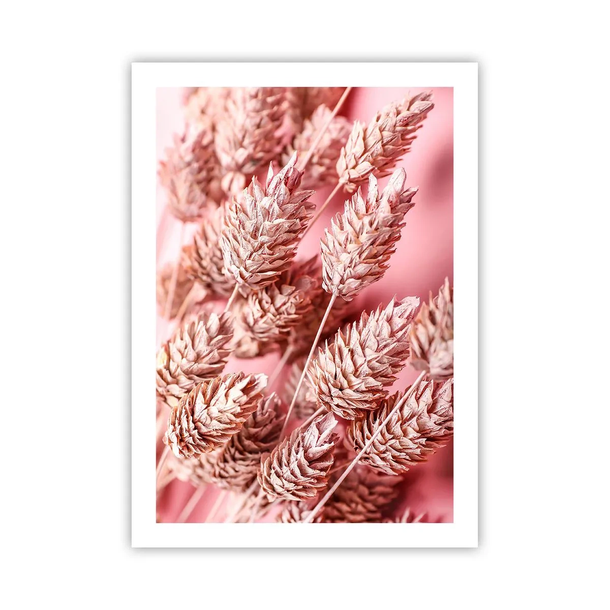 Affiche - Poster - Gros plan d'épis de céréales séchés sur fond rose - 50x70cm - Une cascade florale en rose - Décoration murale moderne pour le salon et la chambre ARTTOR