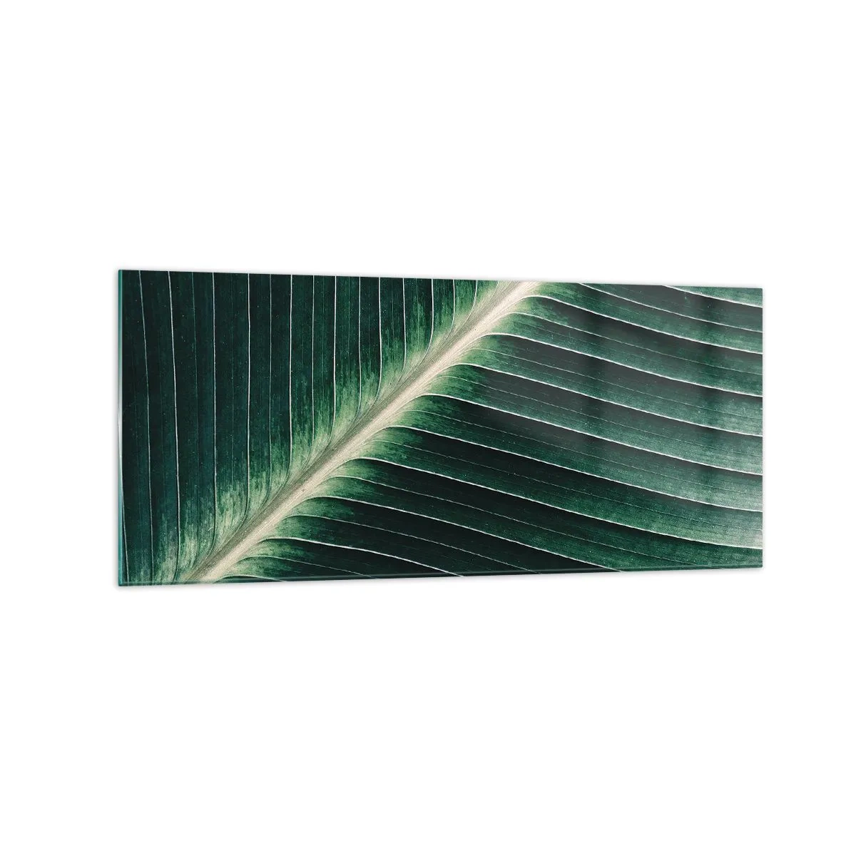 Impression sur verre - Image sur verre - Gros plan de la structure d'une feuille verte - 120x50cm - Le rythme de la nature - Décoration murale moderne pour le salon et la chambre ARTTOR