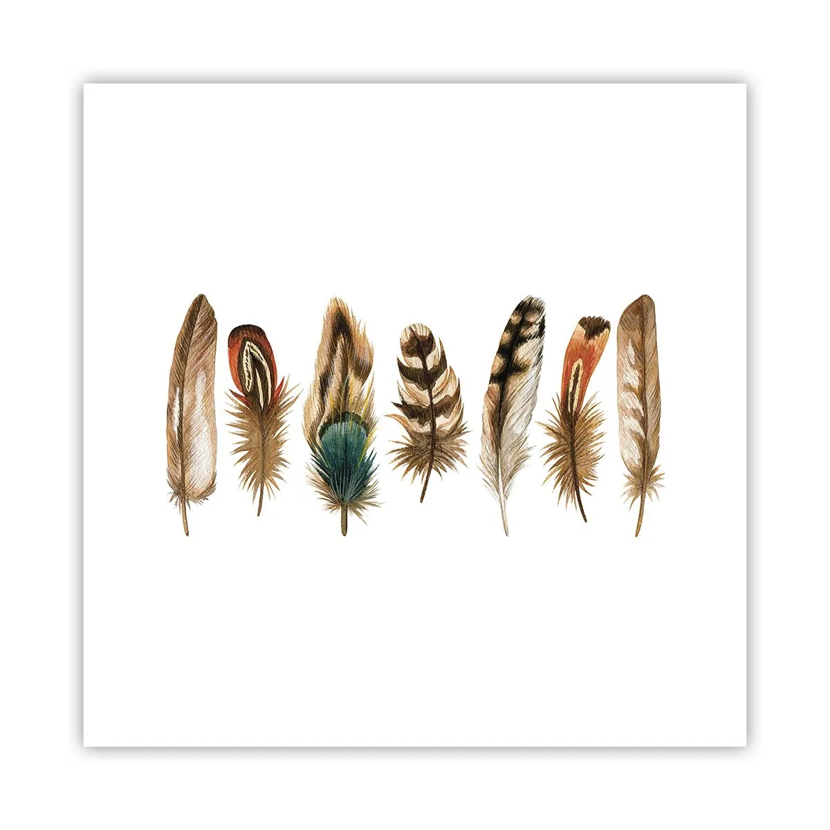 Affiche - Poster - Variation à plumes - 30x30 cm