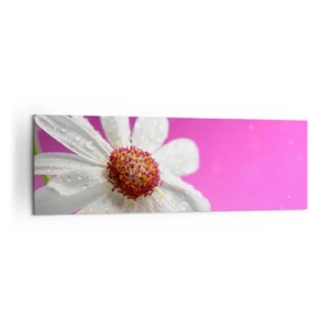 Impression sur toile - Image sur toile - Une marguerite blanche recouverte de gouttes d'eau sur un fond rose - 160x50cm - Modeste dans sa beauté - Décoration murale moderne pour le salon et la chambre ARTTOR