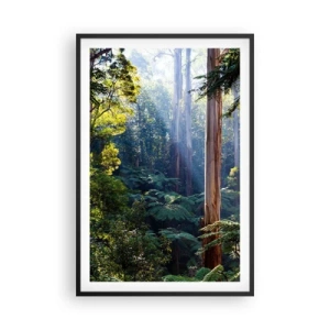 Affiche dans un cadre noir - Poster - Fable de la forêt - 61x91 cm