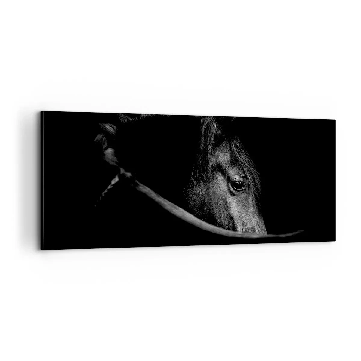 Impression sur toile - Image sur toile - Prince Noir - 100x40 cm