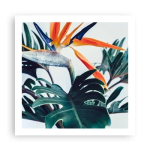 Affiche - Poster - Le buisson oiseaux - 60x60 cm