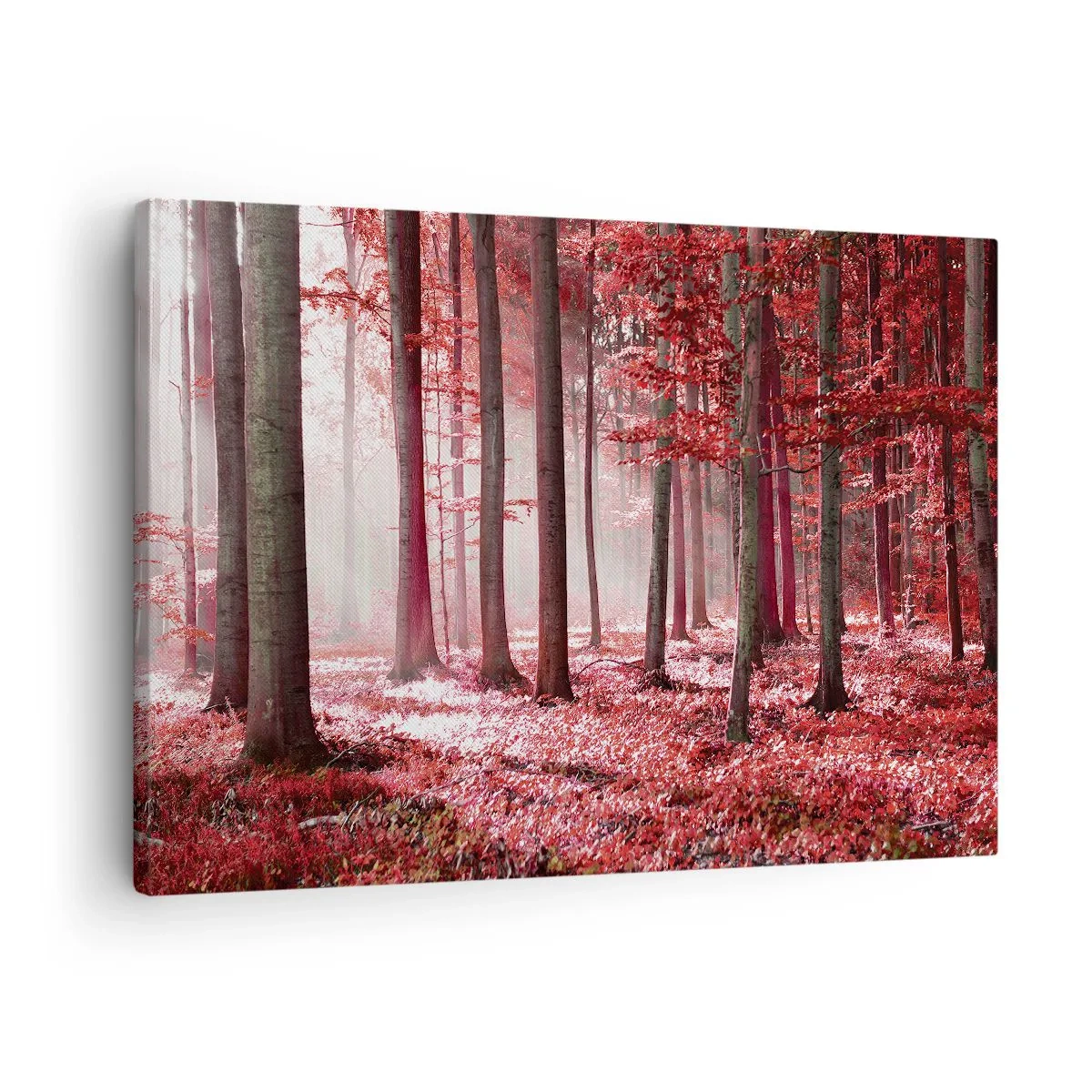 Impression sur toile - Image sur toile - Le rouge est tout aussi beau - 70x50 cm