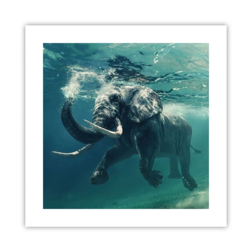 Affiche - Poster - Tout le monde aime nager - 40x40 cm