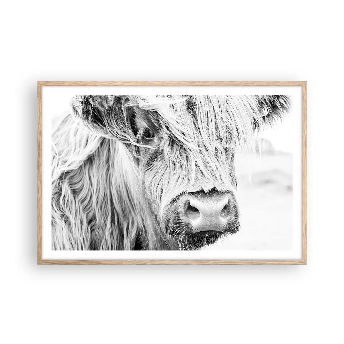 Affiche dans un chêne clair - Poster - Sauvagerie écossaise - 91x61 cm