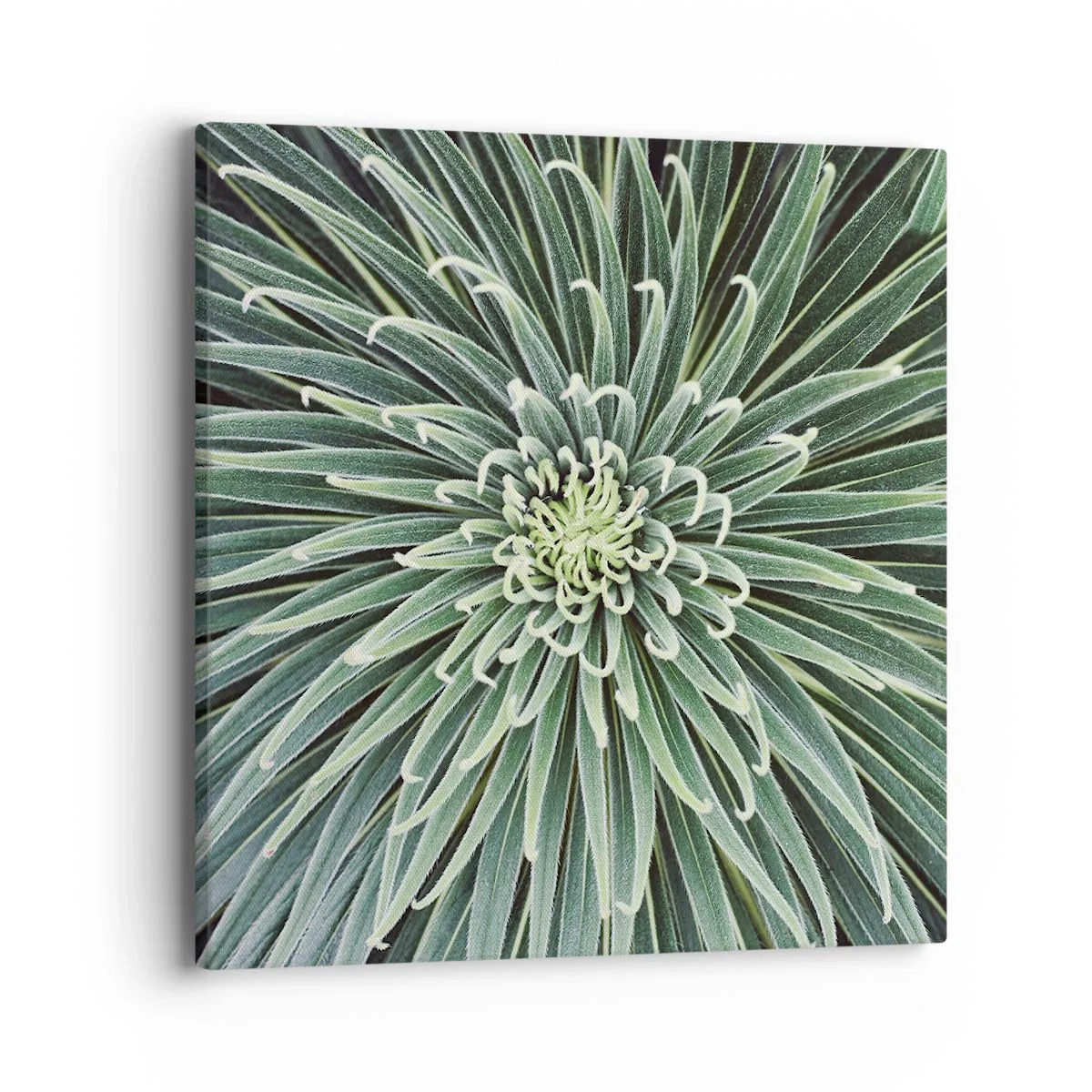 Impression sur toile - Image sur toile - Naissance d'une étoile - 40x40 cm