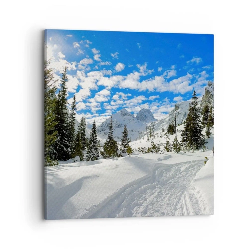 Impression sur toile - Image sur toile - Dans la neige et au soleil - 70x70 cm