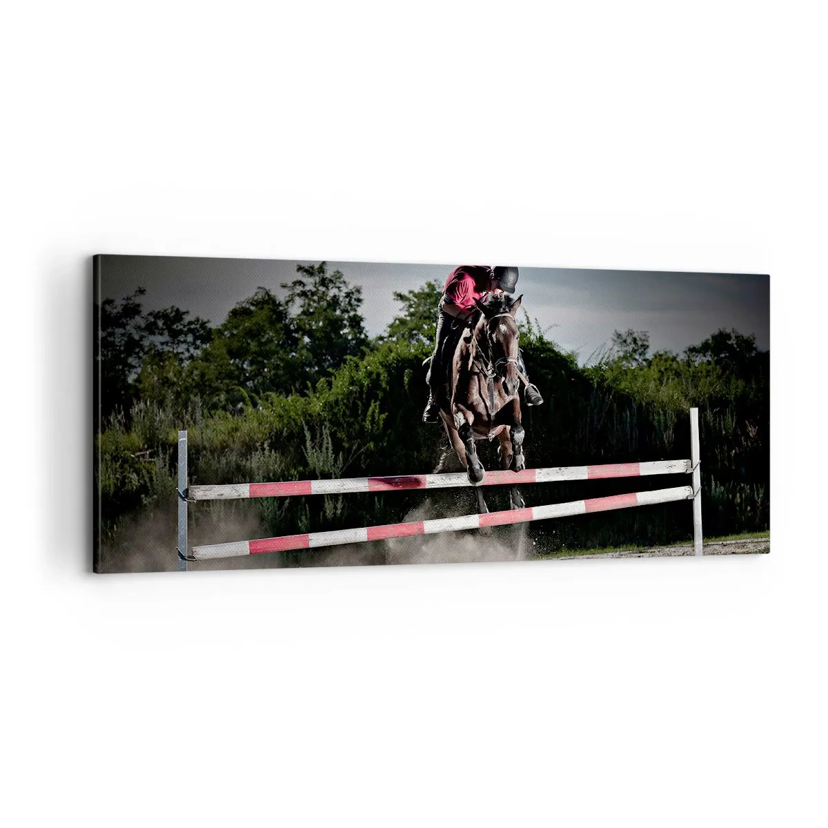 Impression sur toile - Image sur toile - Ensemble pour la victoire - 100x40 cm