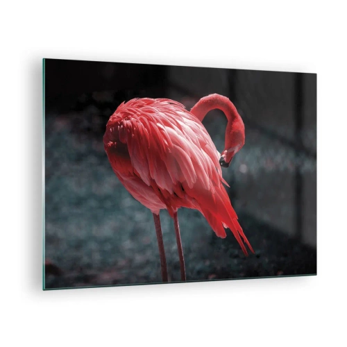 Impression sur verre - Image sur verre - Un flamant rose aux nuances intenses de rouge sur fond sombre - 70x50cm - Poème cramoisi de la nature - Décoration murale moderne pour le salon et la chambre ARTTOR