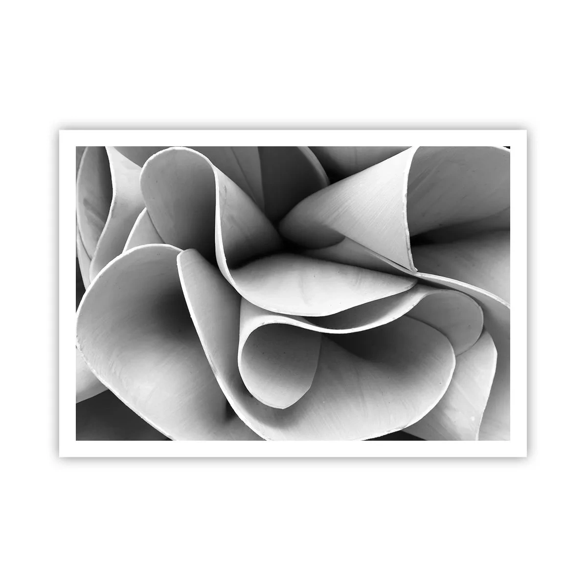Affiche - Poster - Détails en noir et blanc de formes abstraites - 100x70cm - Il s'en passe dans l'espace - Décoration murale moderne pour le salon et la chambre ARTTOR