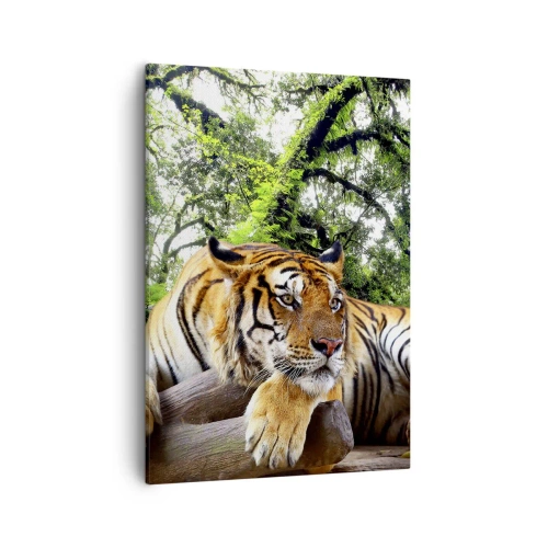 Impression sur toile - Image sur toile - Un tigre se reposant dans une forêt tropicale - 50x70cm - Cordialement - Décoration murale moderne pour le salon et la chambre ARTTOR