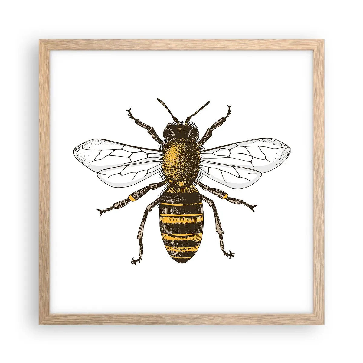 Affiche dans un chêne clair - Poster - Belle et bonne - 40x40 cm