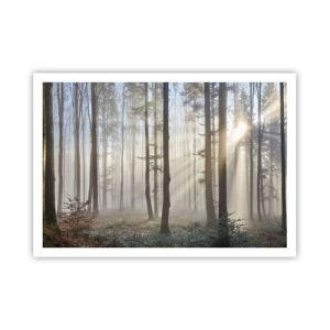 Affiche - Poster - Une forêt dans un léger brouillard avec des rayons de soleil qui brillent à travers les arbres - 100x70cm - Le brouillard s'est aussi réveillé - Décoration murale moderne pour le salon et la chambre ARTTOR