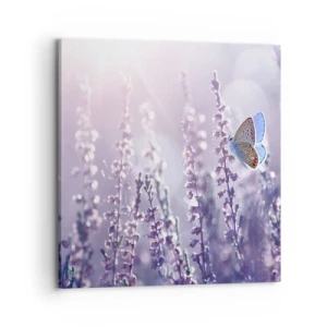 Impression sur toile - Image sur toile - Baiser de papillon - 70x70 cm