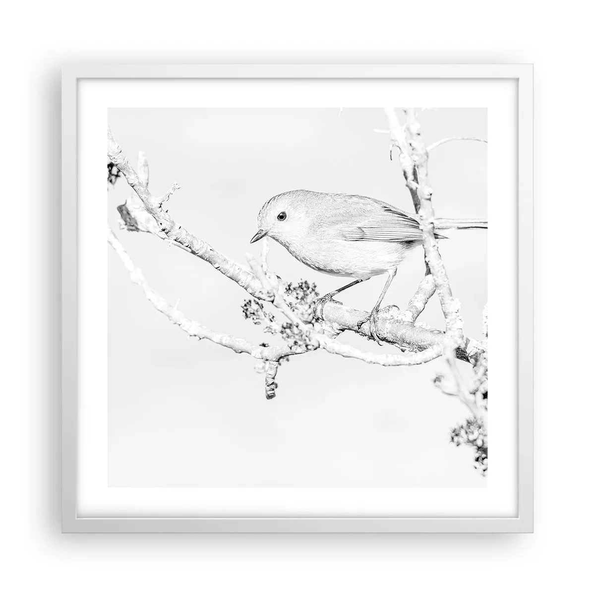 Affiche dans un cadre blanc - Poster - Matin d'hiver - 50x50 cm