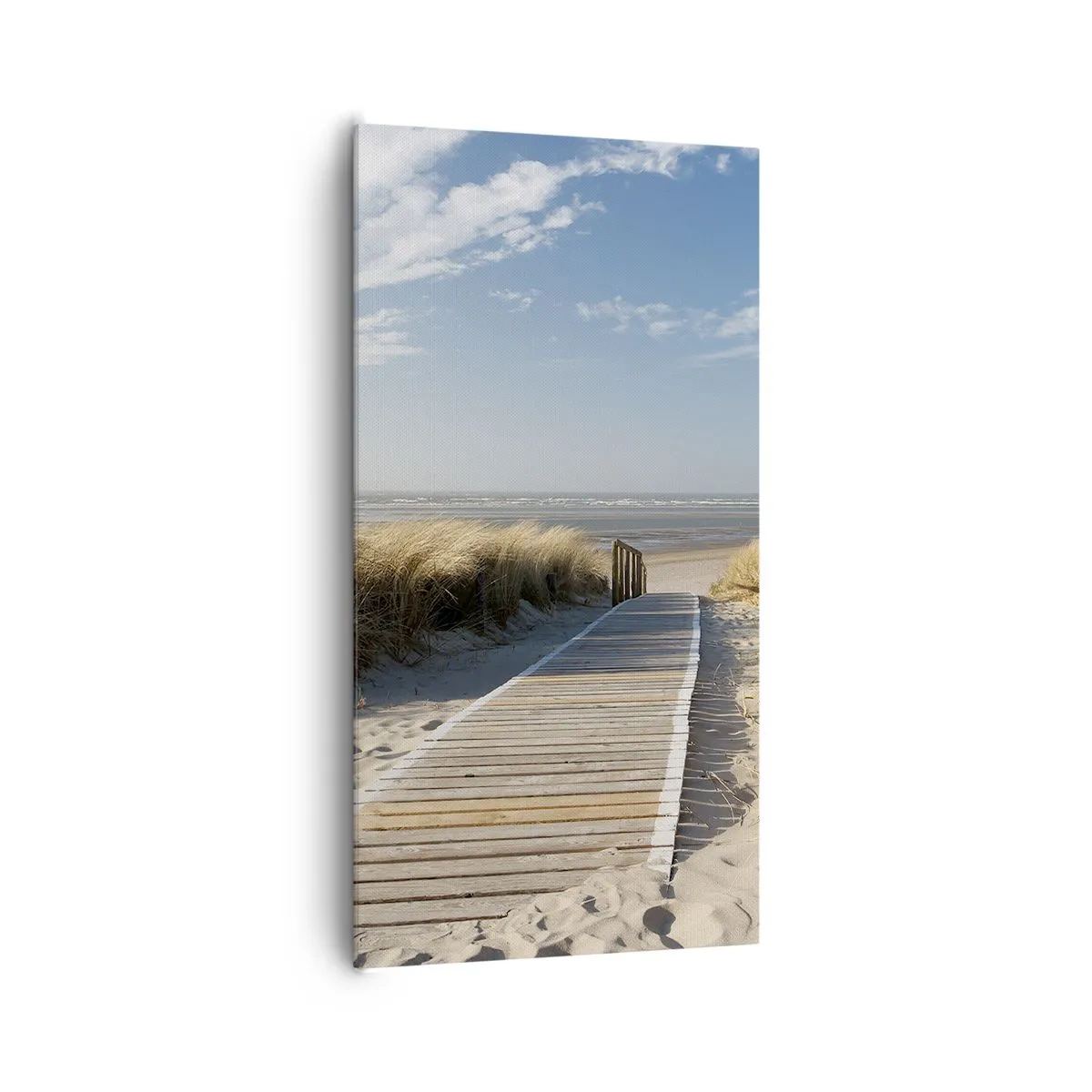 Impression sur toile - Image sur toile - Derrière la dune, dans le bruissement de l'herbe - 65x120 cm