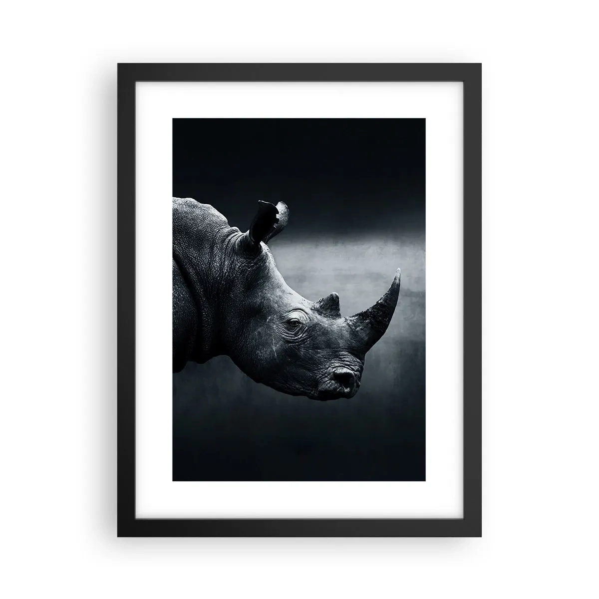 Affiche dans un cadre noir - Poster - Le profil droit - 30x40 cm