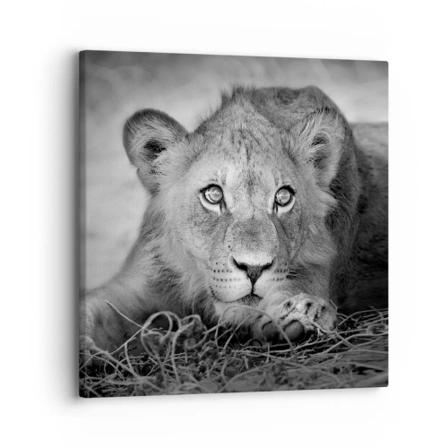 Impression sur toile - Image sur toile - Chiot royal - 30x30 cm