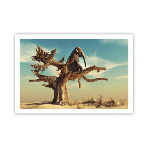 Affiche - Poster - Nouveau point de vue - 91x61 cm