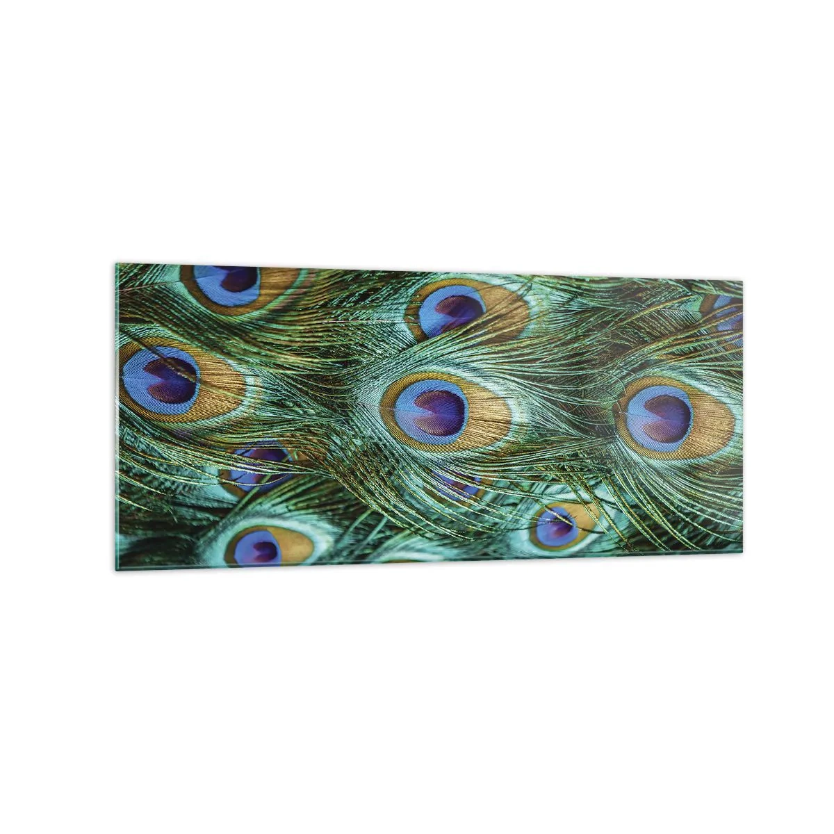 Impression sur verre - Image sur verre - Détails des plumes de paon aux couleurs riches - 120x50cm - Un regard de paon - Décoration murale moderne pour le salon et la chambre ARTTOR