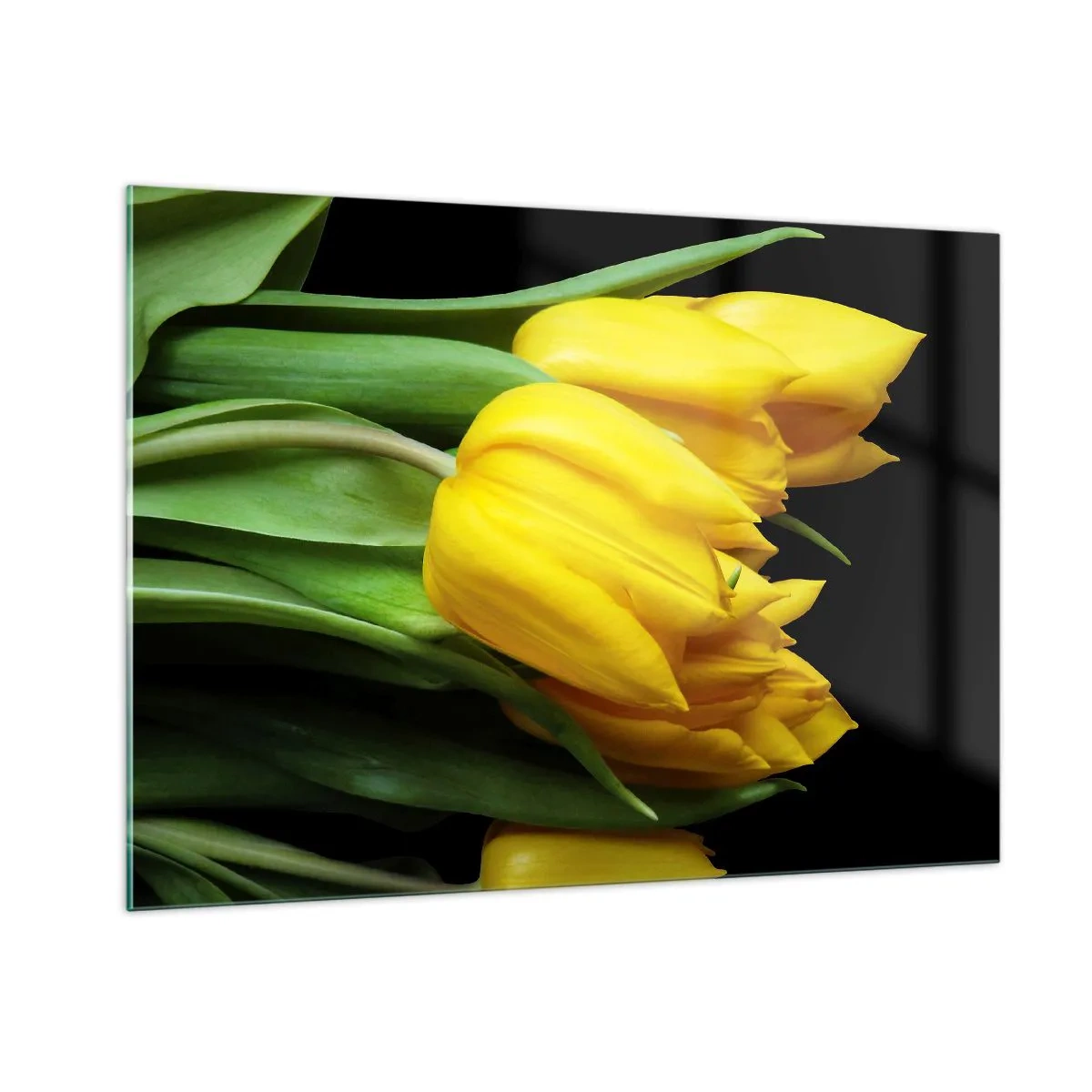 Impression sur verre - Image sur verre - Tulipes jaunes sur fond noir dans une photo élégante - 100x70cm - Lever de soleil pur - Décoration murale moderne pour le salon et la chambre ARTTOR