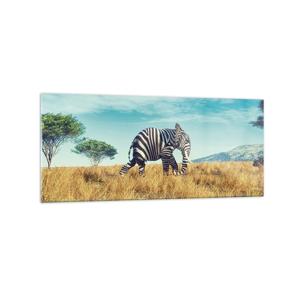 Impression sur verre - Image sur verre - Zèbre dans un paysage africain - 120x50cm - Le gris n'est déjà plus à la mode - Décoration murale moderne pour le salon et la chambre ARTTOR