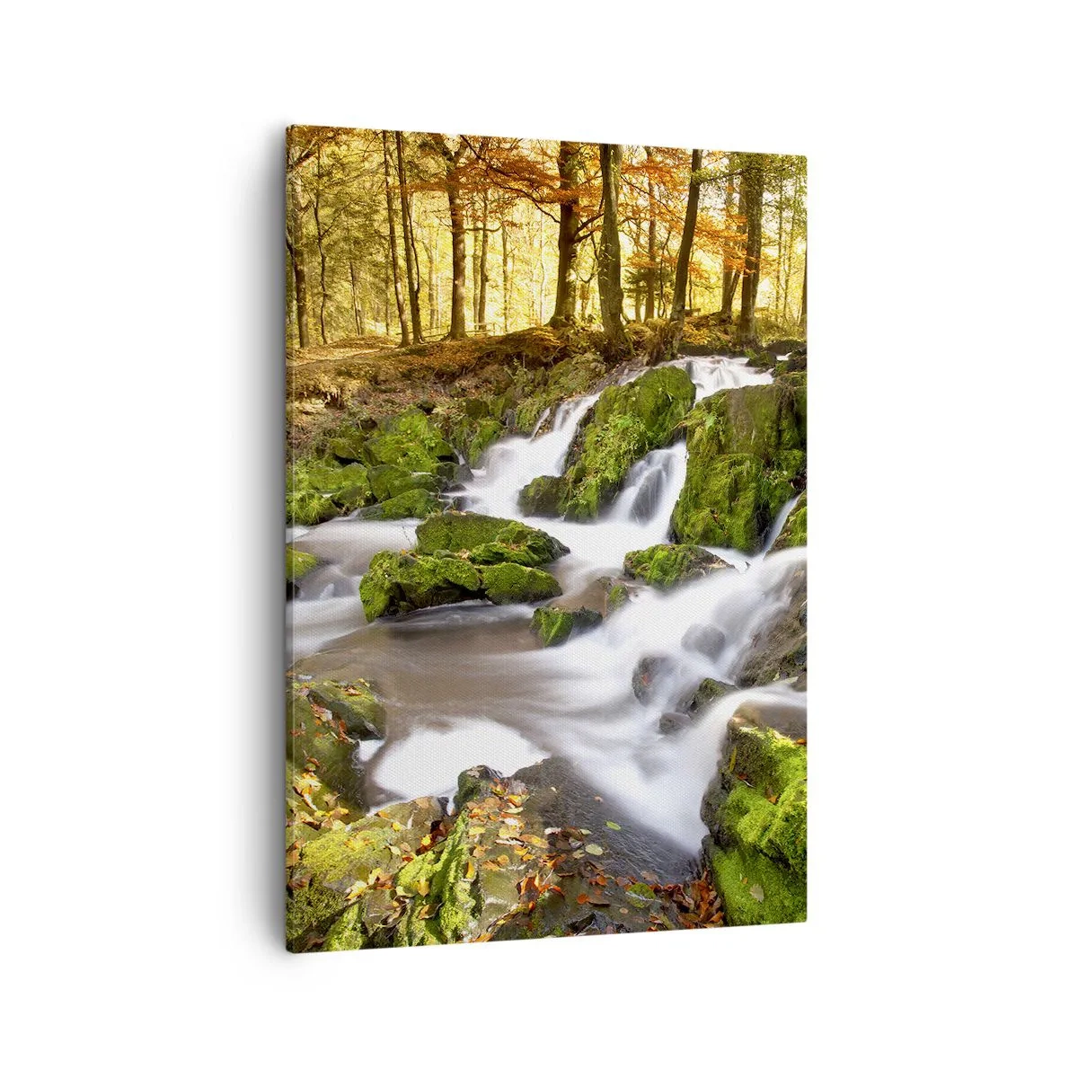 Impression sur toile - Image sur toile - Un paysage boisé avec une cascade entourée de mousse - 50x70cm - Rapidement à travers la forêt d'automne - Décoration murale moderne pour le salon et la chambre ARTTOR