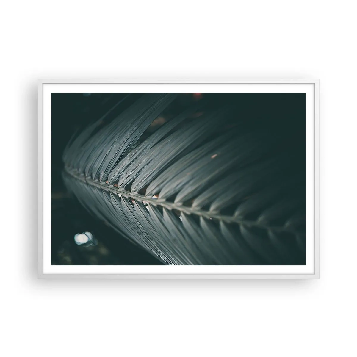 Affiche dans un cadre blanc - Poster - Précision de la nature - 100x70 cm