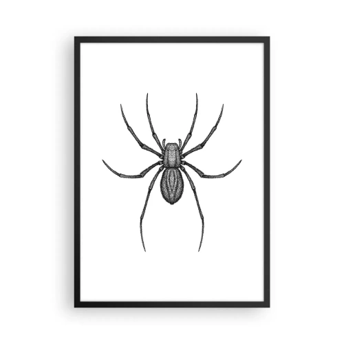 Affiche dans un cadre noir - Poster - Illustration détaillée d'une araignée sur fond blanc - 50x70cm - Une précision troublante - Décoration murale moderne pour le salon et la chambre ARTTOR