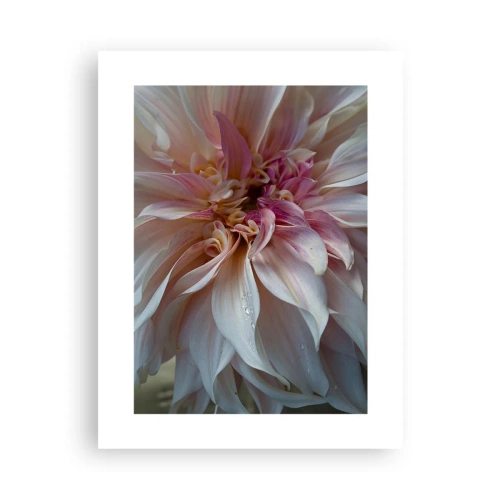 Affiche - Poster - Fraîcheur fleurissante - 30x40 cm