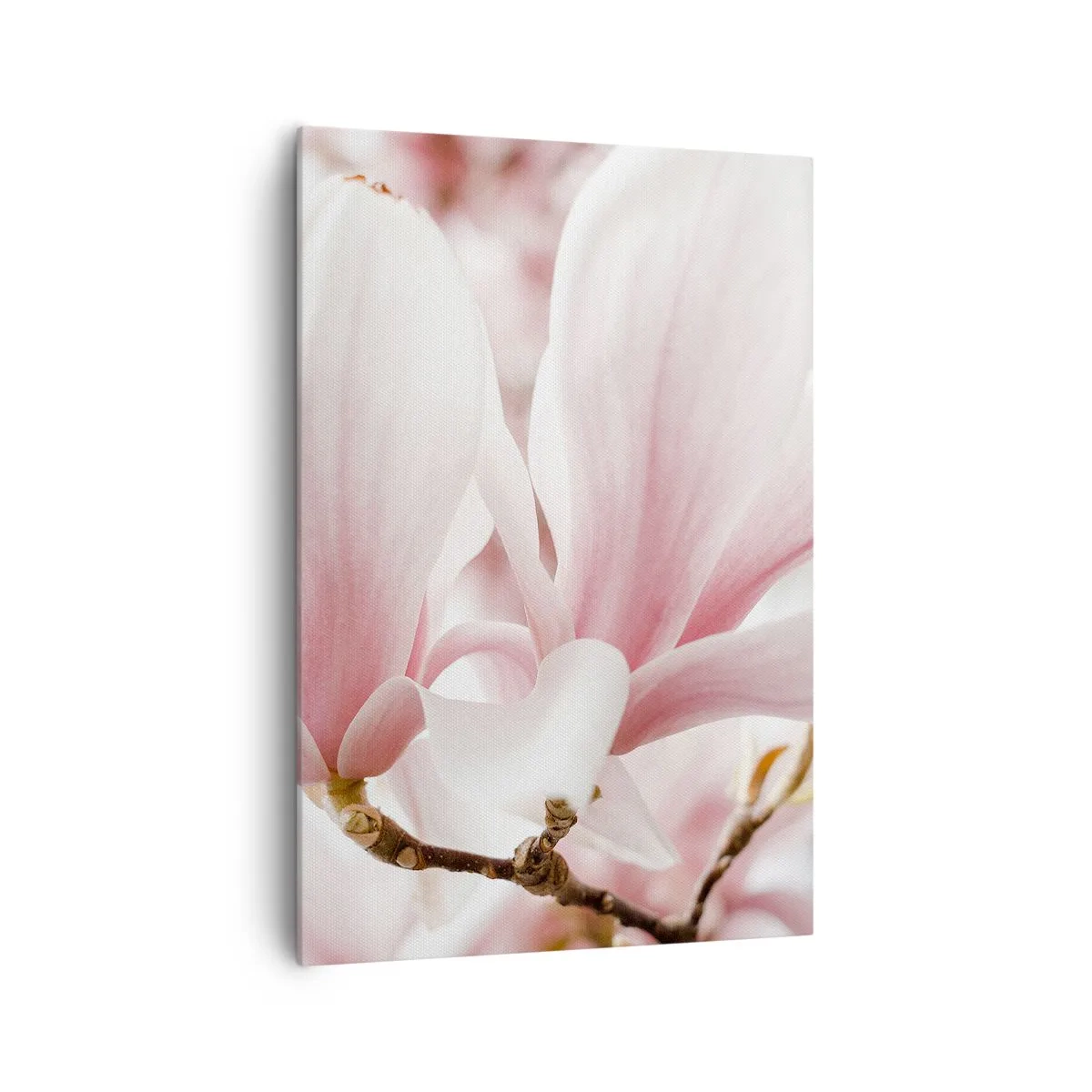 Impression sur toile - Image sur toile - Fleurs de magnolia délicates aux tons pastel - 70x100cm - Abondance de tendresse - Décoration murale moderne pour le salon et la chambre ARTTOR