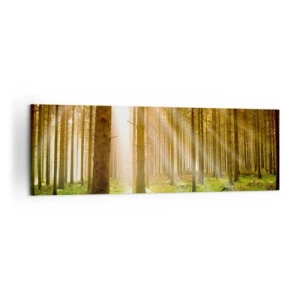 Impression sur toile - Image sur toile - Forêt de conifères avec les rayons du soleil qui brillent à travers les arbres - 160x50cm - Les elfes vont bientôt apparaître - Décoration murale moderne pour le salon et la chambre ARTTOR