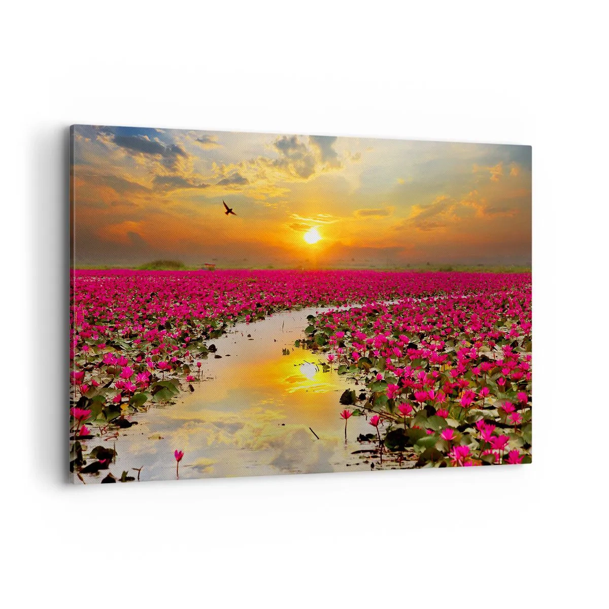 Impression sur toile - Image sur toile - Un champ de nénuphars roses au coucher du soleil - 100x70cm - La vie secrète du lac - Décoration murale moderne pour le salon et la chambre ARTTOR
